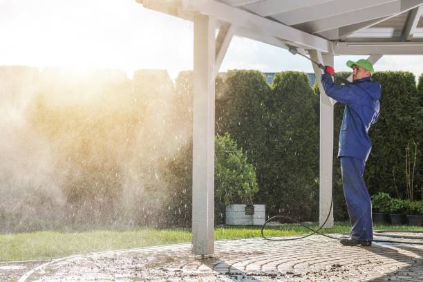 Best Factory Floor Cleaning  in St David, AZ