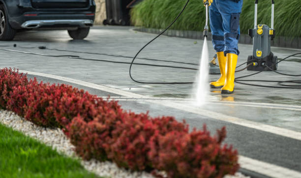 Best Roof Washing  in St David, AZ
